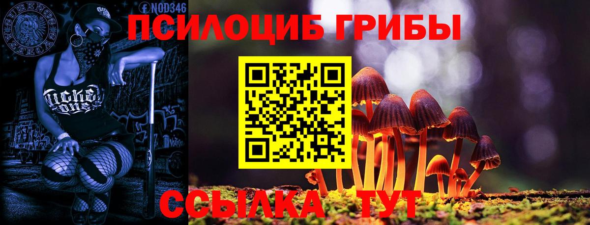 Сибай  купить наркотики сайты  Вход с VPN  Галлюциногенные грибы ЛСД 