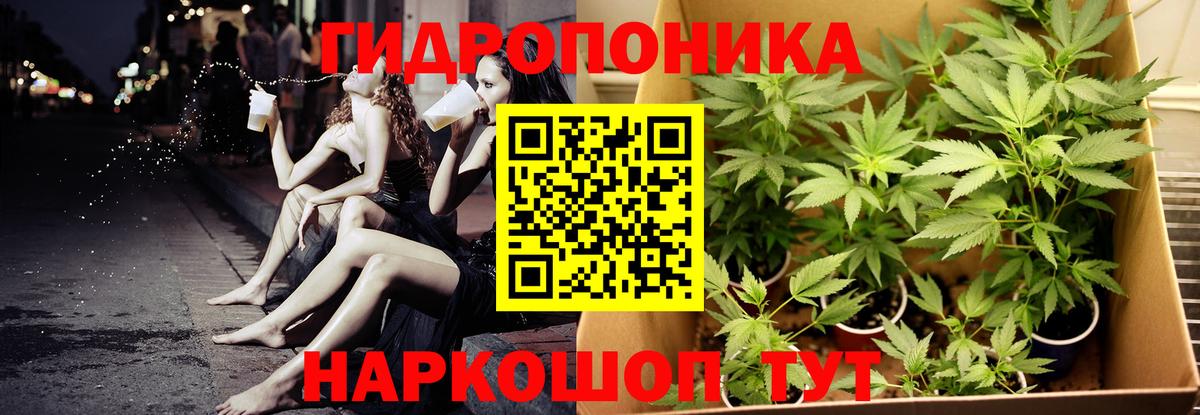 Сибай  Канабис SATIVA & INDICA  Вход с VPN  Канабис гибрид  Бошки Шишки Amnesia 